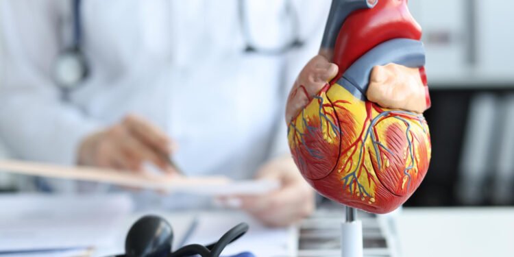30 की उम्र में HYROX शुरू करने से पहले कौन से हार्ट टेस्ट जरूरी? डॉक्टर की सलाह
